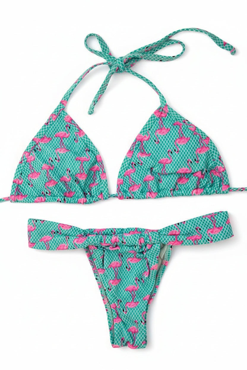 Conjunto Azul Flamencos