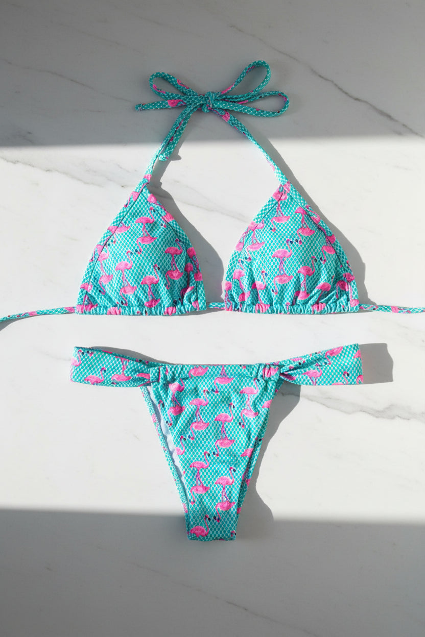 Conjunto Azul Flamencos