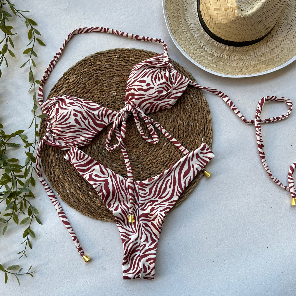 CONJUNTO AVENTURA ZEBRA