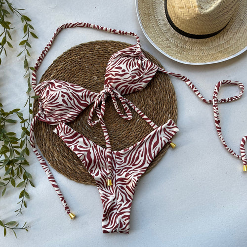 CONJUNTO AVENTURA ZEBRA